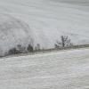 A snowfall (13)